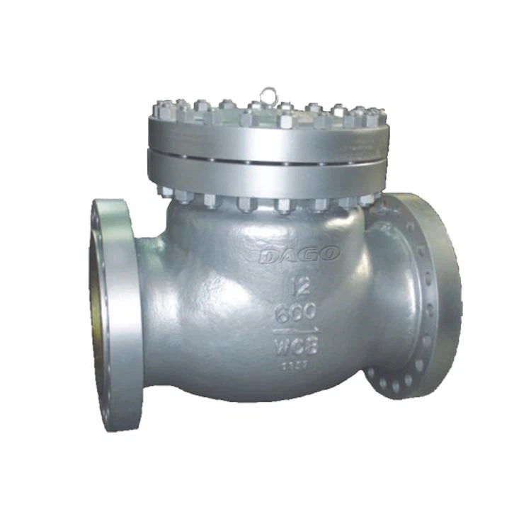 Swing Type Check Valve